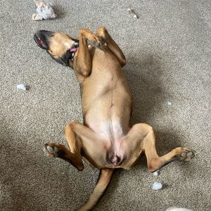 Meet your Posher, Bradley